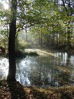 Tůně u Petřvaldíku, ChKO Poodří