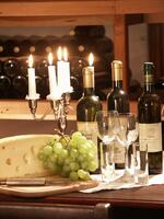 Hotel Starosedlský Hrádek