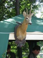 Dům kultury Frenštát pod Radhoštěm