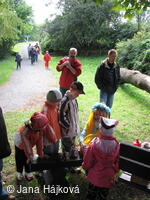 Procházka pohádkovým lesem