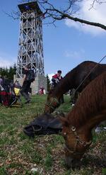 Mikroregion BOJKOVSKO